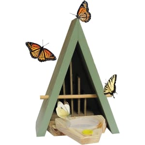 Wildlife World Butterfly Biome Habitat and Feeder for $34 Wildlife World Butterfly Biome Habitat and Feeder for $34