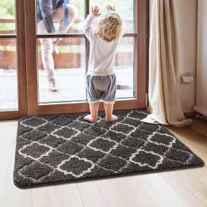 Dexi 32" x 20" Indoor Doormat for $14 Dexi 32" x 20" Indoor Doormat for $14
