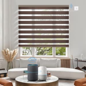Graywind Motorized Zebra Blinds for $158 Graywind Motorized Zebra Blinds for $158