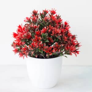 Faux Plants at Wayfair: under $25 Faux Plants at Wayfair: under $25