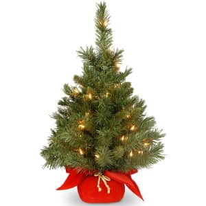 National Tree Company 2-Foot Pre-Lit Artificial Majestic Fir Christmas Tree for $20