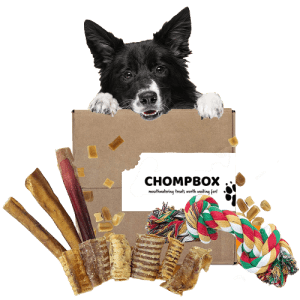 Chompbox Dog Subscription Box for $20 for 1st Box