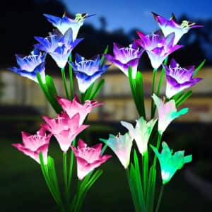 Miagi Color-Changing Solar Flower Stake Lights from $14 Miagi Color-Changing Solar Flower Stake Lights from $14