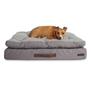 Reddy Medium Double-Pillowtop Orthopedic Dog Bed for $50 Reddy Medium Double-Pillowtop Orthopedic Dog Bed for $50