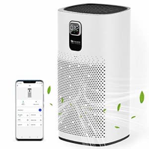 Proscenic Air Purifier A9, with H13 True HEPA Filter, WiFi Connected, Sleep Mode & LED Display, for $90