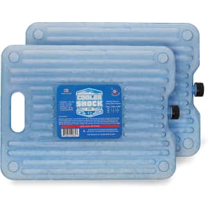 Cooler Shock Reusable Ice Pack 2-Pack for $22