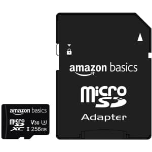 Amazon Basics 256GB microSDXC Memory Card for $30