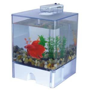 Aqua Box 3-Liter Aquarium w/ LED & Gravel for $14 Aqua Box 3-Liter Aquarium w/ LED & Gravel for $14