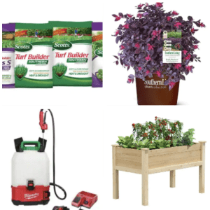 Home Depot Garden Center Special Buys: Up to 50% off
