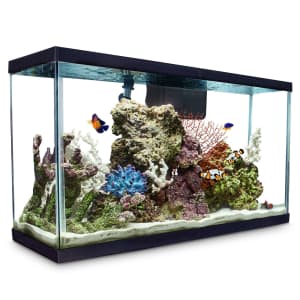 Aquarium Tanks at Petco: 50% off Aquarium Tanks at Petco: 50% off