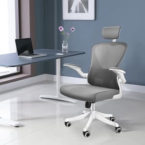 Noxxon Big and Tall Office Chair for $100 Noxxon Big and Tall Office Chair for $100