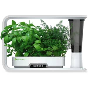 Aspara Smart Hydroponic Indoor Growing System for $100 Aspara Smart Hydroponic Indoor Growing System for $100
