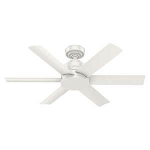 Hunter Fan Company 59614 Hunter Kennicott Indoor, Outdoor Ceiling Fan with Wall Control, 44, Fresh for $180 Hunter Fan Company 59614 Hunter Kennicott Indoor, Outdoor Ceiling Fan with Wall Control, 44, Fresh for $180