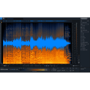 iZotope RX Elements Audio Repair Software for PC & Mac: $20.22