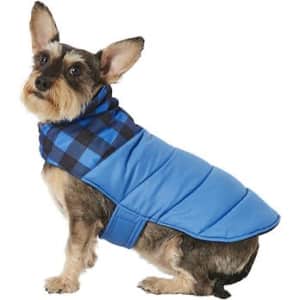 Winter Pet Apparel at Chewy: Up to 50% off
