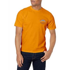 IZOD Men's Saltwater Short Sleeve Graphic T-Shirt, Autumn Sunset Nantucket, Small for $10