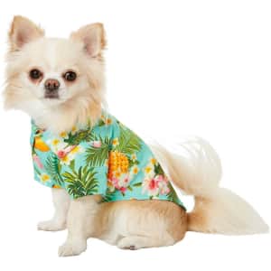 Spring and Summer Apparel at Chewy: Up to 50% off