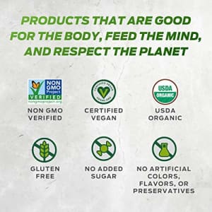 Vega One Organic Meal Replacement Plant Based Protein Powder, French Vanilla - Vegan, Vegetarian, for $29 Vega One Organic Meal Replacement Plant Based Protein Powder, French Vanilla - Vegan, Vegetarian, for $29