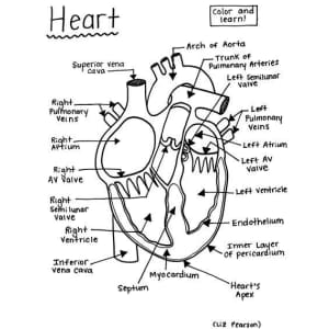 HBarSci Printable Educational Coloring and Activity Pages: Free HBarSci Printable Educational Coloring and Activity Pages: Free