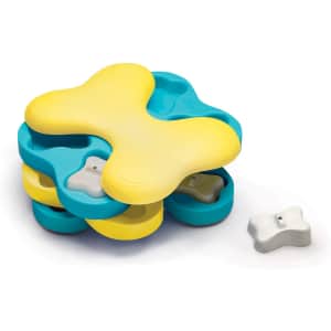 Outward Hound Nina Ottosson Dog Tornado Interactive Puzzle Toy. It's a low by $5, but most stores charge $17 or more.