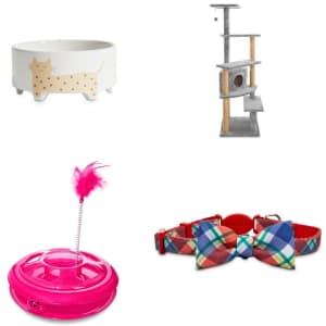Kitten Supplies at Petco: $30 off $100 in cart Kitten Supplies at Petco: $30 off $100 in cart