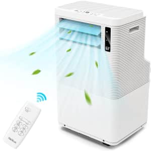 DSF 15,000-BTU Portable Air Conditioner for $250