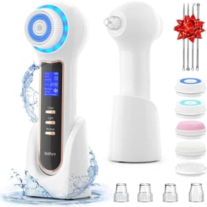 Gohyo Facial Cleansing Brush for $30