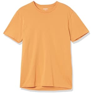 Goodthreads Men's Slim-Fit Short-Sleeve Crewneck Cotton T-Shirt, Burnt Orange, X-Small for $10