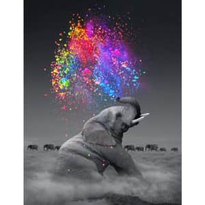 Neilden DIY 5D Elephant Diamond Painting Kit for $6 Neilden DIY 5D Elephant Diamond Painting Kit for $6