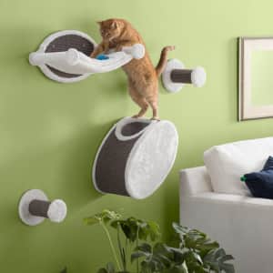Archie & Oscar 11" Gabby Cat Tree for $55 Archie & Oscar 11" Gabby Cat Tree for $55