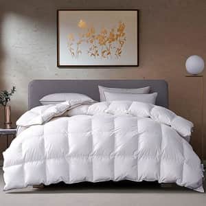 KRT Good Feather Down Comforter From $59.99