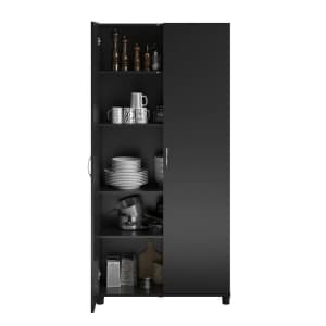 Wayfair Basics Springboro Storage Cabinet for $225