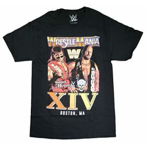 WWE Men's Superstar Wrestlers Stone Cold Steve Austin The Rock Hulk Undertaker T-Shirt, Black, Small for $15