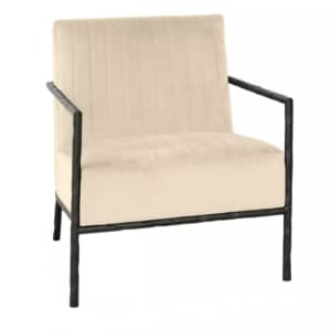 Abbyson Living Rosa Velvet Armchair for $270 for members Abbyson Living Rosa Velvet Armchair for $270 for members