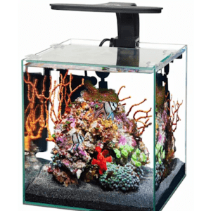 Aqueon Frameless Cube Aquariums at Petco: more than 50% off Aqueon Frameless Cube Aquariums at Petco: more than 50% off