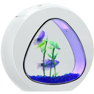 1-Gallon Aquarium w/ Filter for $46 1-Gallon Aquarium w/ Filter for $46