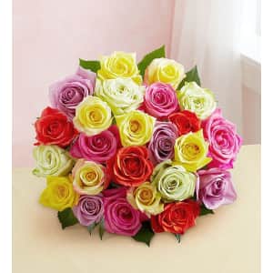 Two Dozen Assorted Roses at 1-800-Flowers: for $30 Two Dozen Assorted Roses at 1-800-Flowers: for $30