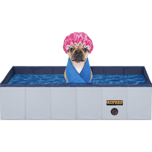 Pools at Chewy: Extra 60% off in cart Pools at Chewy: Extra 60% off in cart
