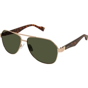 Ben Sherman Polarized Sunglasses for $20