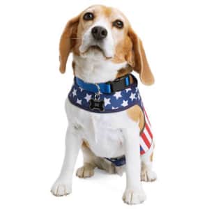 Youly USA Stars-and-Stripes Dog Harness for $8