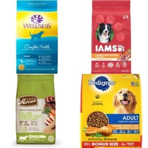 Dog Food Deals at Chewy: Extra 20% to 40% off at checkout