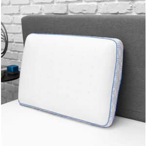 Home Decorators Collection Cooling Gel Memory Foam Jumbo Pillow for $40 Home Decorators Collection Cooling Gel Memory Foam Jumbo Pillow for $40