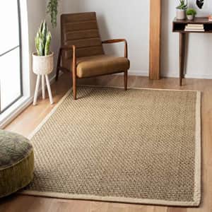 Safavieh Natural Fiber Collection NF114J Border Basketweave Seagrass Accent Rug, 2' x 3', Ivory for $17
