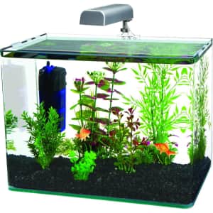 Penn-Plax Radius 5-Gallon Curved Corner Glass Aquarium Kit for $78