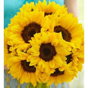 Sunflowers at 1-800-Flowers: Up to 25% off Sunflowers at 1-800-Flowers: Up to 25% off