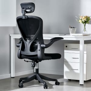 Omusa-Pdi Rolling Desk Chair w/ Lumbar Support for $119 Omusa-Pdi Rolling Desk Chair w/ Lumbar Support for $119