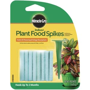 Miracle-Gro 24-Count Indoor Plant Food Spikes for $3 Miracle-Gro 24-Count Indoor Plant Food Spikes for $3