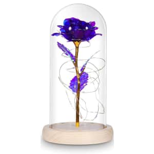Vilux Enchanted Rose for $18 Vilux Enchanted Rose for $18