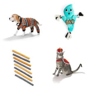 Halloween Bootique at Petco: Buy 1, get 50% off 2nd