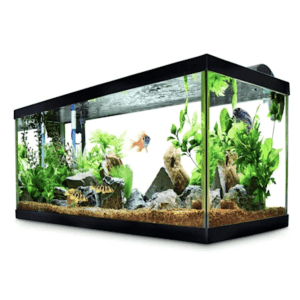 Aquariums at Petco: 50% off Aquariums at Petco: 50% off